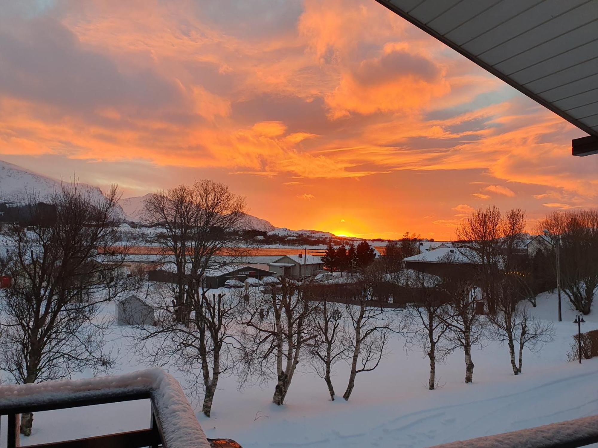 Knut Ellingsen Villa Reine Luaran gambar